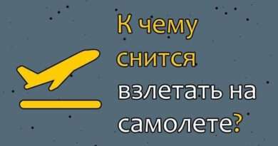 К чему снится самолет. Смотреть фото К чему снится самолет. Смотреть картинку К чему снится самолет. Картинка про К чему снится самолет. Фото К чему снится самолет